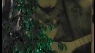 Mehmet Gümüş - Turnam Başım Darda Benim