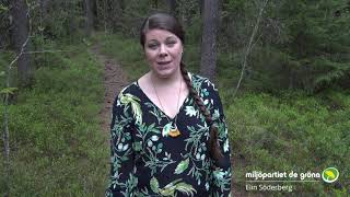 Klimatet Kräver Mer Än Vackra Ord - Elin Söderberg Mp