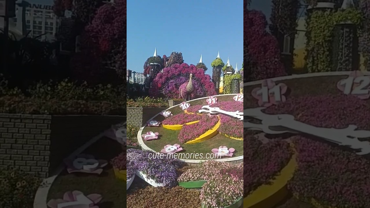 Miracle Garden - Big clock - Dubai | #clock #miraclegarden #dubaimiraclegarden #dubaivlog