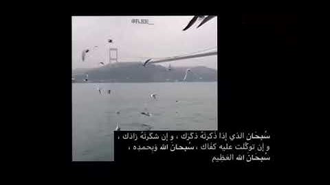(الم يرو الى الطير مسخرات) القارئ: فارس عباد سورة :النحل الوصف مهم💙💙.