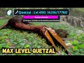 MAX LEVEL QUETZAL TAMING! ARK: Mobile ultimate edition 