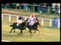 1987 William Hill Scottish National Handicap Chase - YouTube