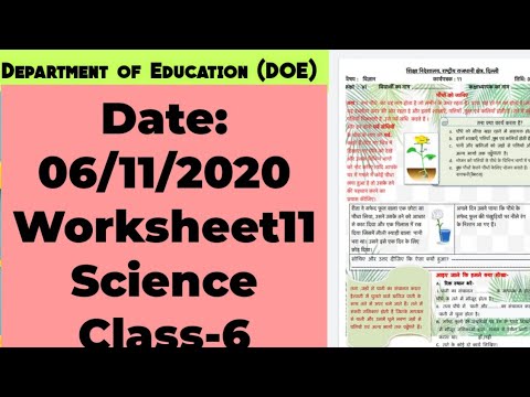 class 6 worksheet 11 science hindi medium class 6 science worksheet 11 06 nov 20 edu villa point youtube