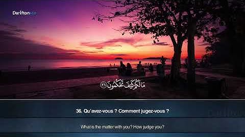 Sourate Al Qalam - Maher Arar سورة القلم ماهر عرار