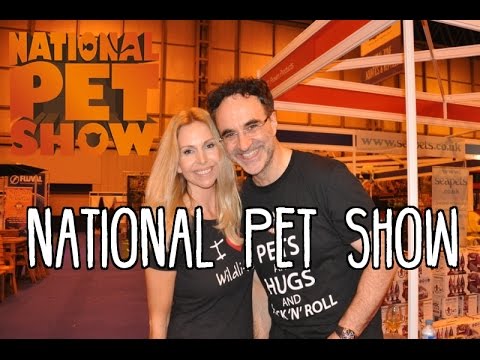 anneka svenska noel fitzpatrick national pet show featuring supervet noel fitzpatrick anneka svenska noel fitzpatrick national pet show featuring supervet noel fitzpatrick
