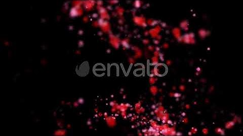 Whirlwind of Rose Petals | Motion Graphics - Envato elements
