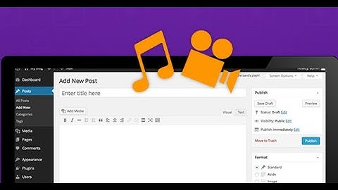 Lesson 34: Insert and Work with Video and Audio in WordPress