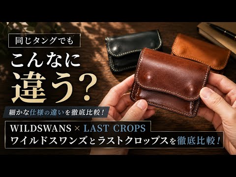 ワイルドスワンズ】 タング 2年間の経年変化 - YouTube