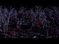 low 404 – nightmare
