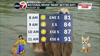 082226 National Never "BEAN" Better Day