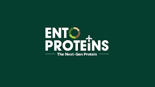 Ento Proteins Sustainable Protein Source Black Soldier Fly Technology Waste Management