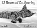 12 hours of cat purring