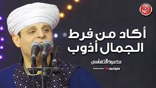 Mahmoud El-Tohamy | محمود التهامي - اكاد من فرط الجمال أذوب | مولد سيدي جلال الدين السيوطي ٢٠٢٣