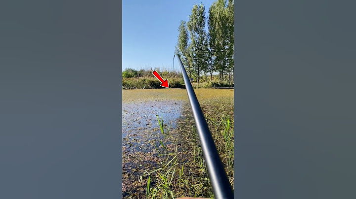 CRAZY Fishing 🐟 By Rod and Reel #fishing #fishbait
