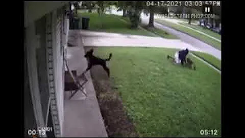 Owner Saves Dogs Life Defending It From Coyote