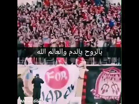 جماهير الاهلي حالات واتس