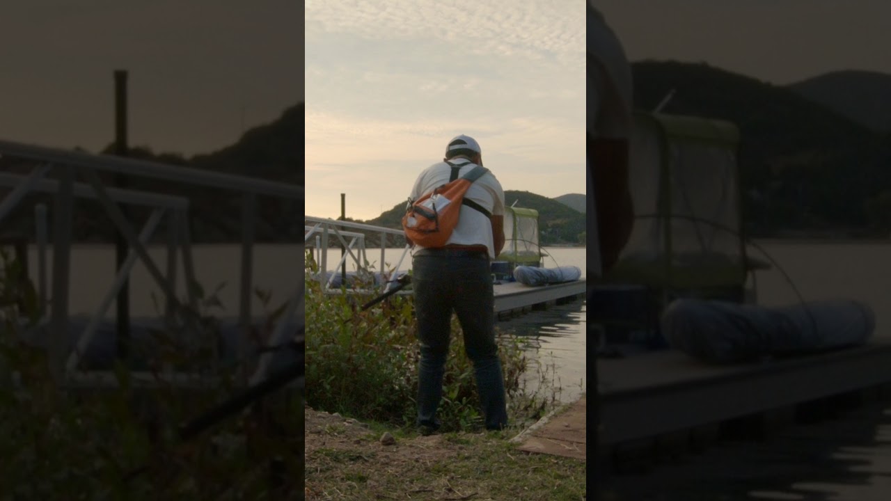 Aggressive Bass Ambushes Frog from the Bushes at Lake Sherwood 