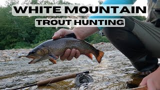 Big Mountain Trout - Pemigewasset River, NH