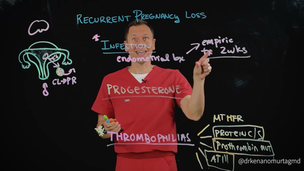 Recurrent Pregnancy Loss:   The Workup Pt 2