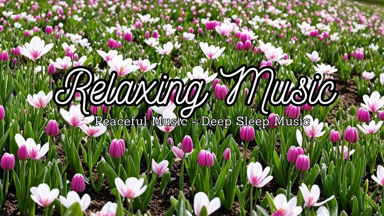 Music Without Lyrics Relaxing Music Good Music For You When You Feel music-without-lyrics-relaxing-music-good-music-for-you-when-you-feel