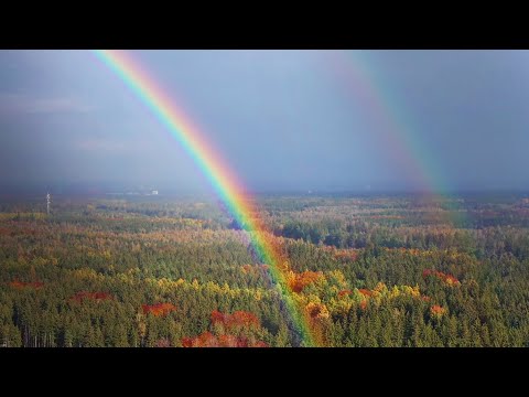 Were U Wondering how rainbows form?