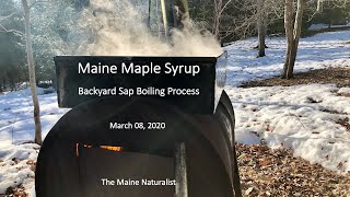 Maine Maple Syrup | Backyard Sap Boiling Process