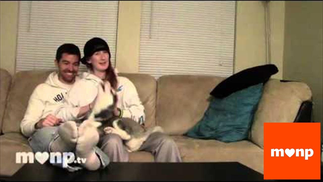 MLNPstars hannable return with some big news!