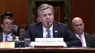 Reed Questions FBI Director Wray at Appropriations Hearing on 2020 FBI Budget Request