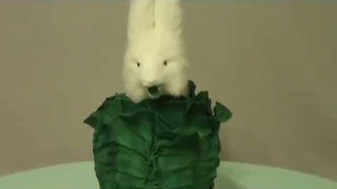 ROULLET & DECAMPS RABBIT IN CABBAGE AUTOMATON