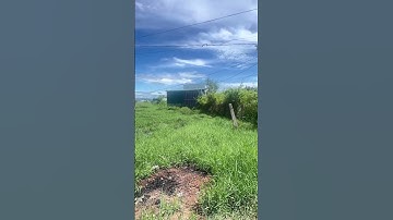 517m2 có 100m2 thổ cư xã Hàm Cường  #bds #dautubds #BDSPhanThiet #BDSBinhThuan #NovaWorldPhanThiet