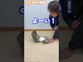 天才かあるくん☺️ 腹筋までできちゃう💦 #monkey #猿回し #セラピー #赤ちゃん #腹筋