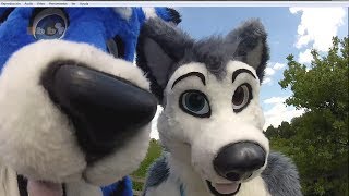 Confuzzled 2013