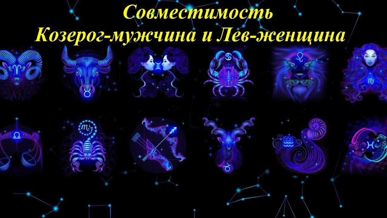 Совместимость Козерога и Льва в отношениях Совместимость Козерога и Льва в отношениях