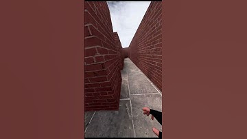 Seagull Chase on Maze Nextbot Gmod