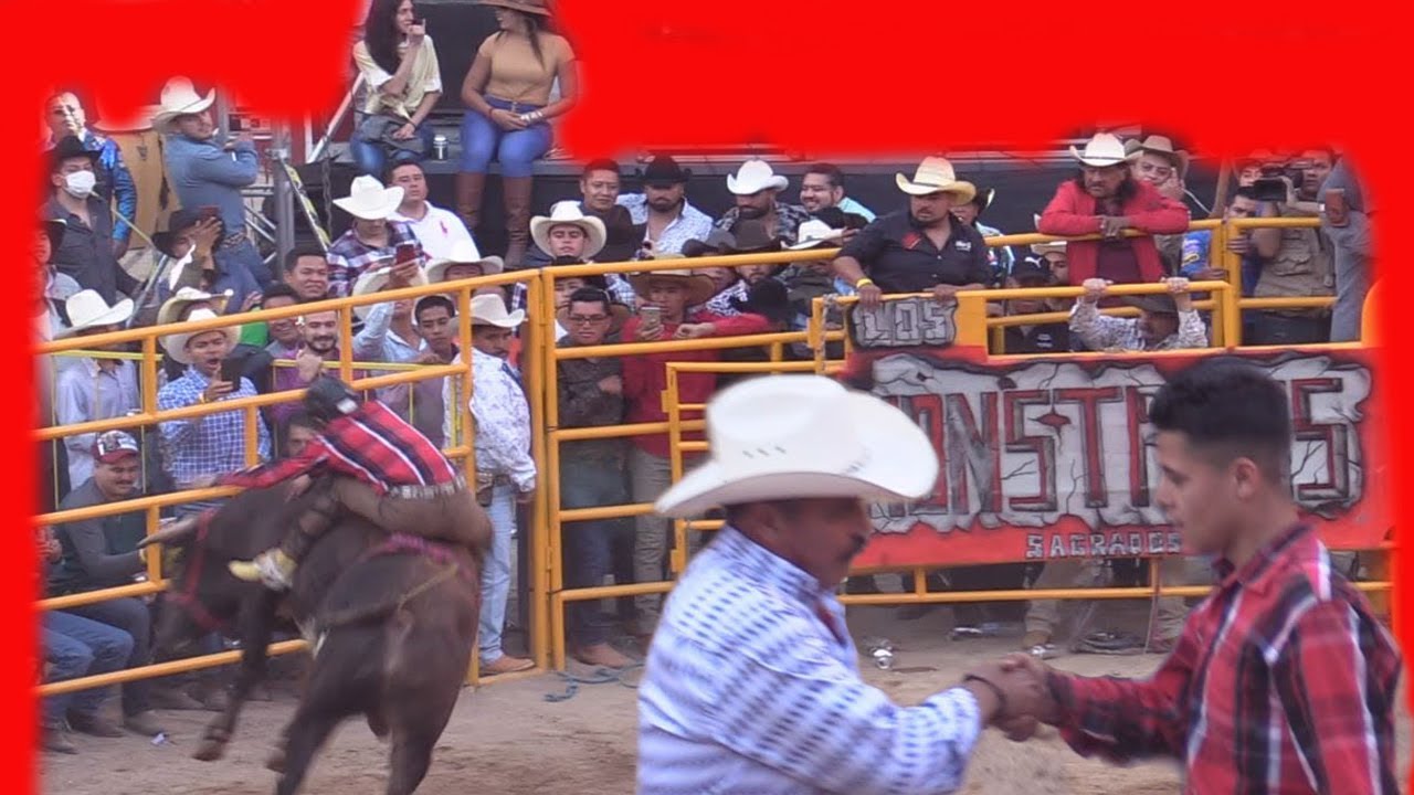 COLIBRI DE QUIROGA VS EL TATUAJE DE SELECCION MCHOACANA +MONUMENTAL DE MORELIA 25/11/2018 jaripeo 2018 minnesota