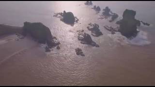 Download Lagu Lagu Mars Pandhalungan Bersama Bupati Jember dr Hj Faida MMR MP3