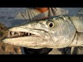 Catch And Cook - Vissen In Bonaire 2.0 - Part 4 Of 6