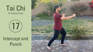 17. Intercept and Punch | Tai Chi 37 Posture Form