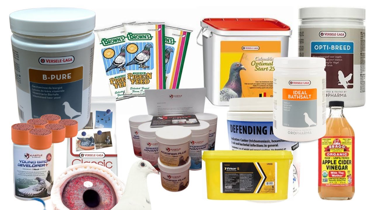 PIGEON FEEDING AND SUPPLEMENTS FOR ALL SEASONS