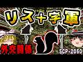 【ゆっくりSCP解説】鎧を纏った「リスの騎士団」全ネズミを絶滅させようとするリスの猛攻【SCP-2050:リス十字軍】