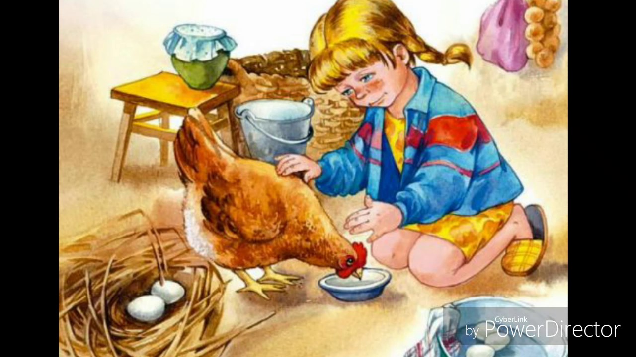 Картина дети кормят курицу и цыплят. Произведение Валентины Александровны Осеевой добрая Хозяюшка. Девочка кормит. Девочка кормит кур. Забота о животных рисунок.