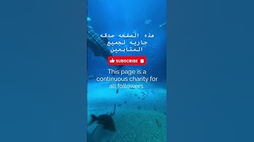 الجاثية - الآية 12  : الله الذي سخر لكم البحر لتجري الفلك فيه بأمره ولتبتغوا من فضله ولعلكم تشكرون