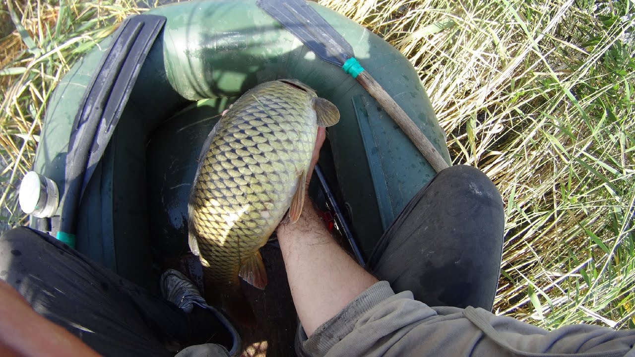 Мощные К А Р П Ы Рвут Шнуры Ломают Крючки и Катушки ПОПЛАВОК Густой ...