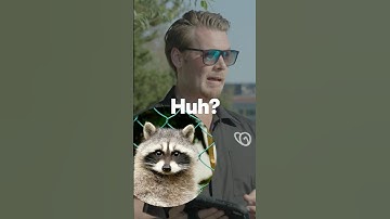 Watch This GoDaddy AI Create The Perfect Business Logo!