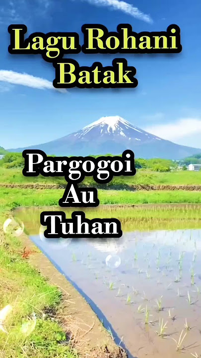 PARGOGOI AU TUHAN /LIRIK  /lagu rohani Batak #shorts