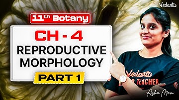 11th Botany | CH 4 Reproductive Morphology Part 1 | State Board | Asha Ma