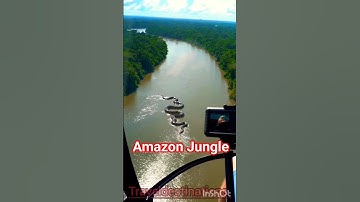 World Biggest Anaconda in the Amazon forest | #amazon #amazonian #amazonia #amazonwildlife #anaconda