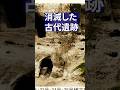 消滅した古代遺跡 失われた真実 秦（ハタ）氏と武内宿禰【予告編】#ai #ai再現