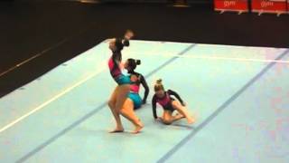 2016 PV1 ACRO -  I2 Laure Ise Anke