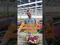 Cómo Hacer un Marco Floral con #Crisantemos Rosas 🌸 en 1 Minuto | Max Hurtaud